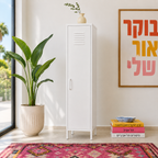 ארון לוקר מתכת לבן בסלון, לצד עציץ גדול ושטיח צבעוני