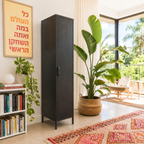 ארונית לוקר מתכת בצבע שחור מט | School